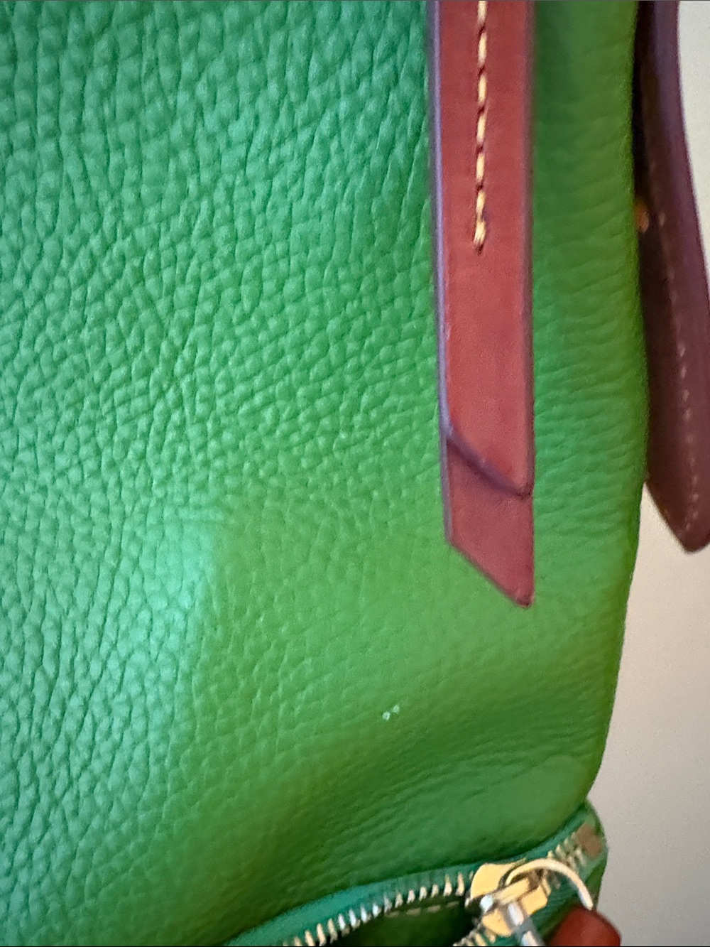 Dooney & Bourke Green Pebbled Leather Crossbody with Brown Trim - Picture 3 of 7